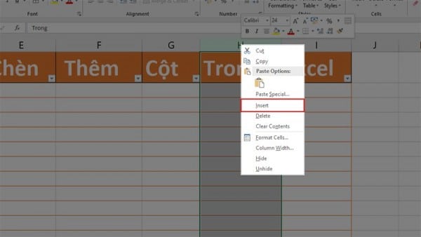 Hướng Dẫn Cách Chèn Cột Trong Excel Đơn Giản Có Ví Dụ 8 Cách chèn thêm cột trong Excel 2010