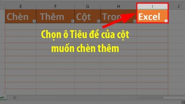 Hướng Dẫn Cách Chèn Cột Trong Excel Đơn Giản Có Ví Dụ 7 Cách chèn thêm cột trong Excel 2010