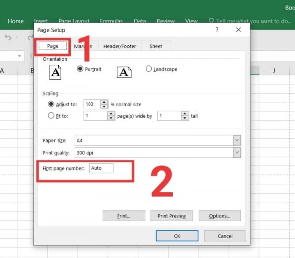 Cách Lặp Lại Tiêu Đề Trong Excel Thao Tác Nhanh 15 Hướng dẫn đánh số trang trong Excel cố định