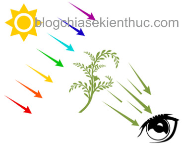 Hệ màu trong CorelDRAW