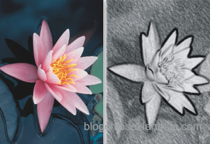 Hình Ảnh Hiệu Ứng Charcoal