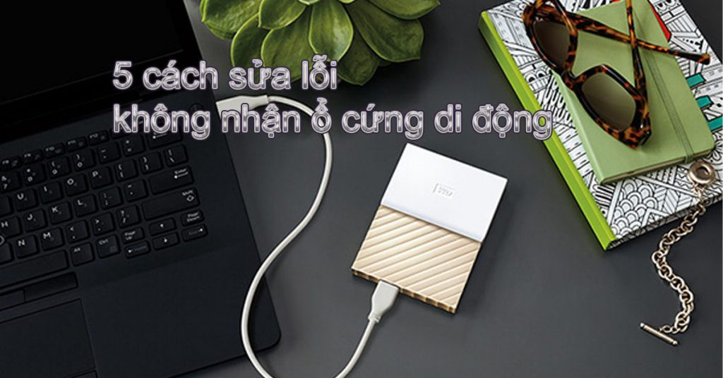 Hướng dẫn sửa lỗi không nhận ổ cứng di động trên Windows