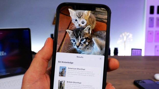 Live Text nhận diện giống vật nuôi