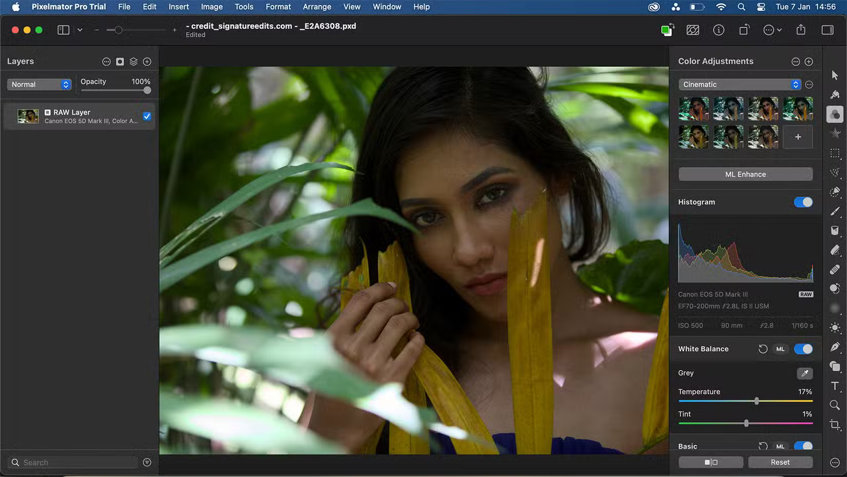 Chỉnh sửa ảnh RAW của Pixelmator Pro
