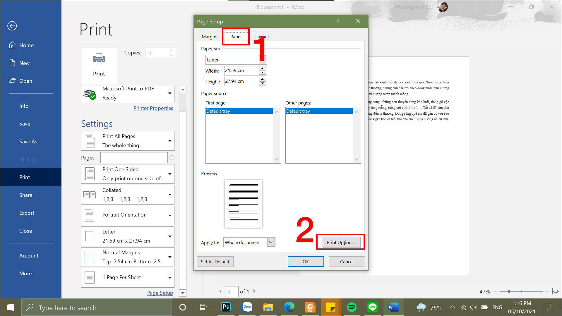 Chọn thẻ Paper và chọn Print Options...