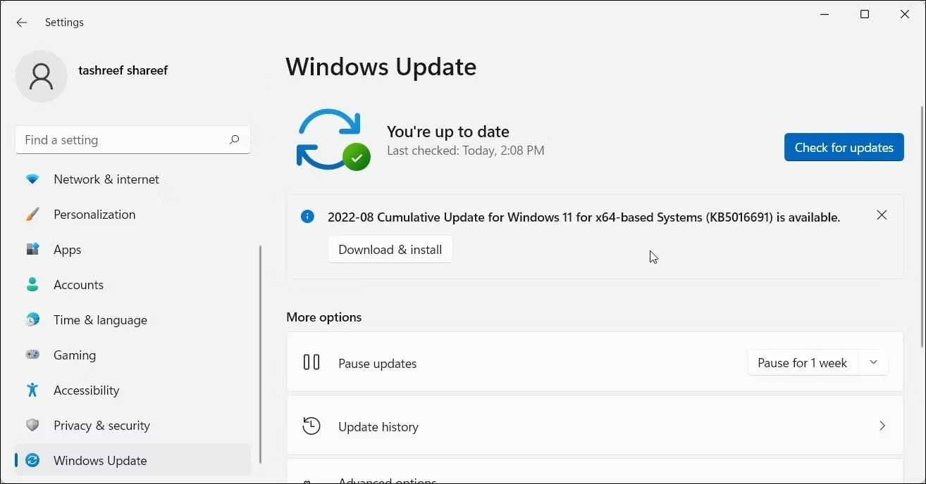Hình ảnh hiển thị tab Windows Update trong Cài đặt Windows 11