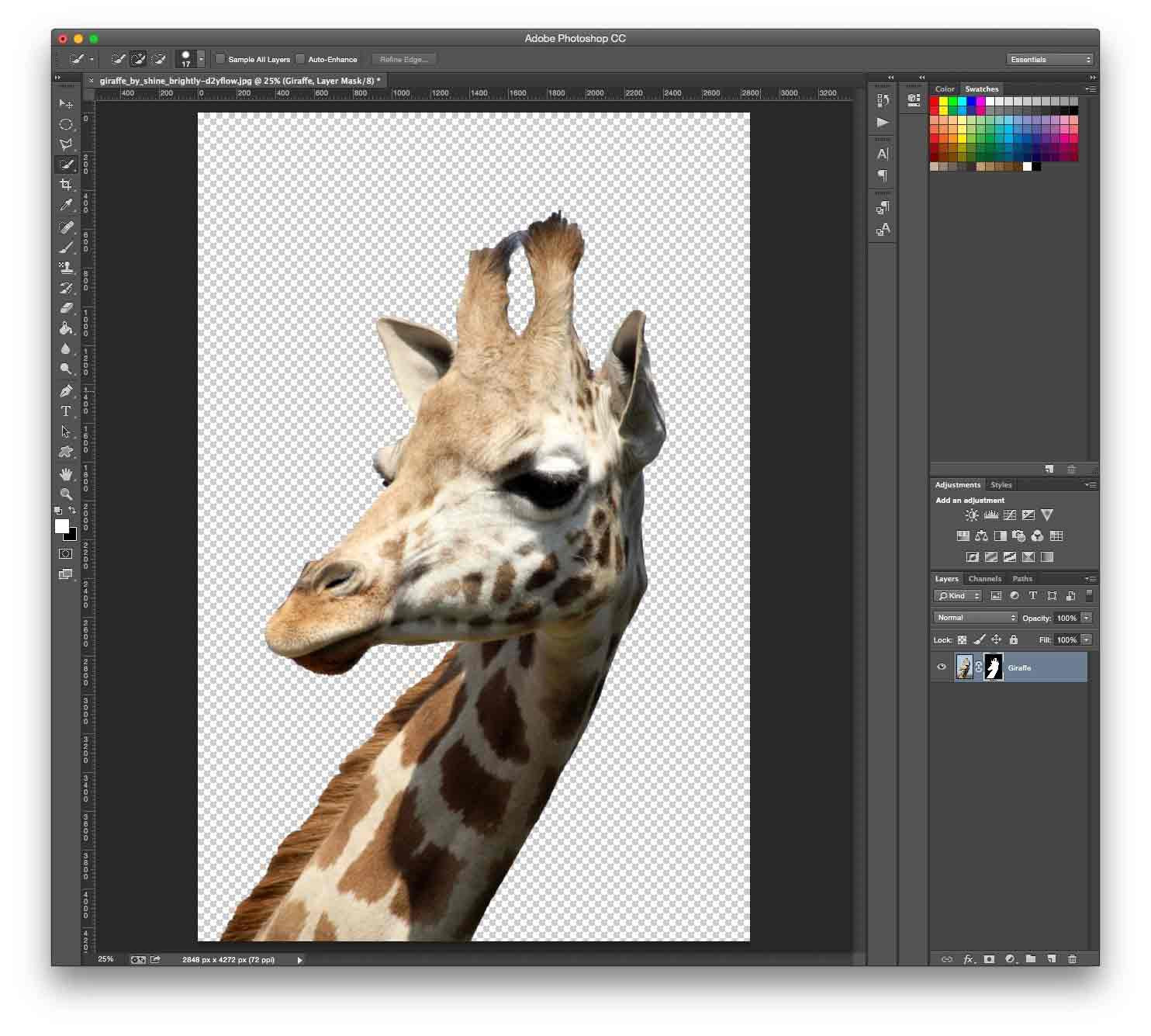 Hình ảnh sau khi tách phông