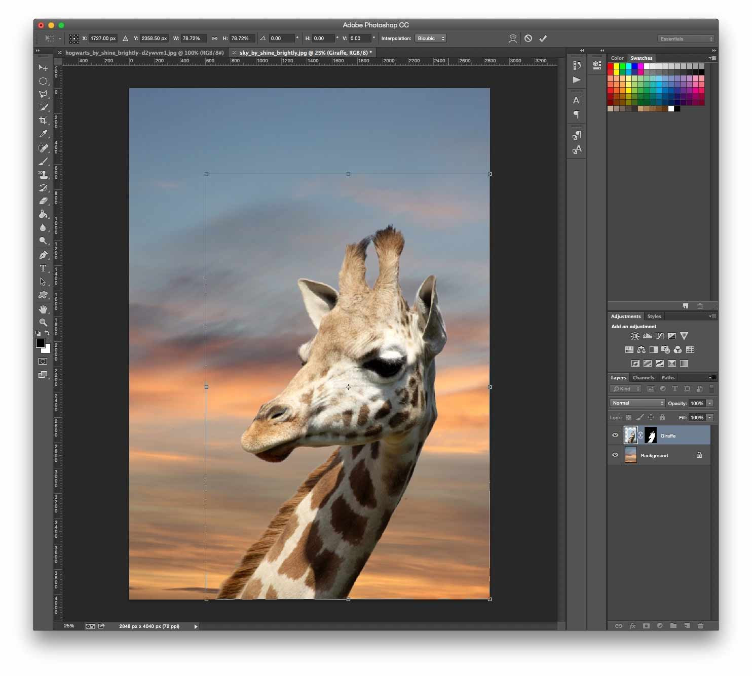 Hình ảnh với nền mới