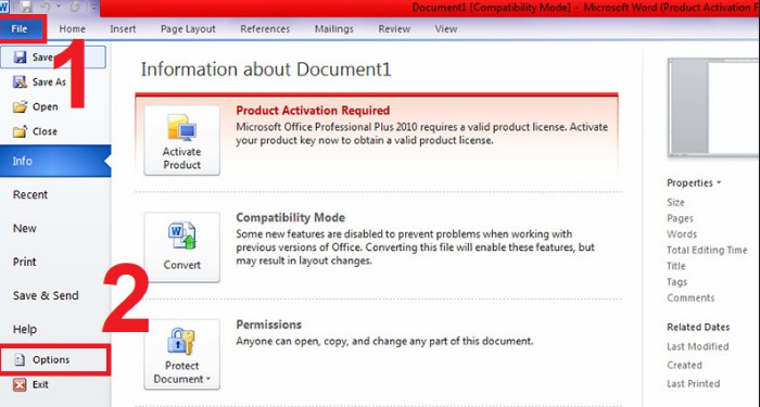 Tùy chọn Word 2007